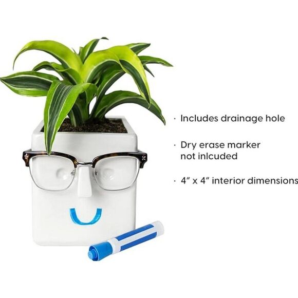 NEW Plant Flower Pot Novelty Face Planter Personality Ceramic Holder Home Decor - Picture 3 of 9